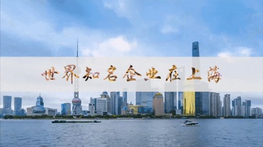 昂際航電總裁兼首席執行官張元中:為大型民用飛機